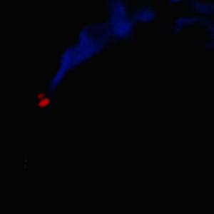 收聽SLICKADELIC的Gonna Like it (feat. Chevy Taylor) (Explicit)歌詞歌曲