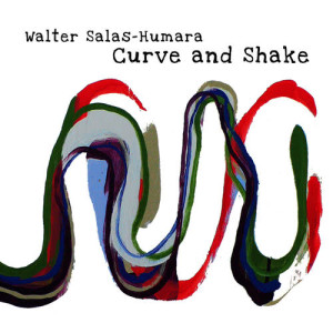 ดาวน์โหลดและฟังเพลง Hoping for a Comeback พร้อมเนื้อเพลงจาก Walter Salas-Humara
