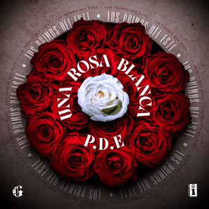 收听Los Primos del Este的Una Rosa Blanca歌词歌曲
