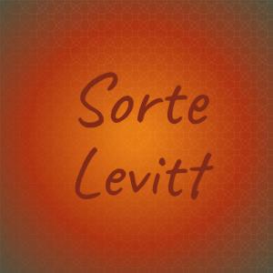 ดาวน์โหลดและฟังเพลง Sorte Levitt พร้อมเนื้อเพลงจาก Keiner Rosselin