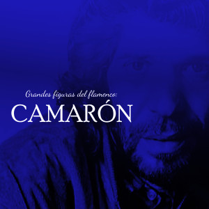 Listen to Moraito Como un Lirio [Tientos] song with lyrics from Camaron De La Isla