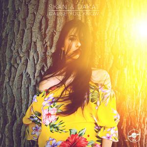 收聽Skan的Cause you know歌詞歌曲