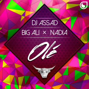 ดาวน์โหลดและฟังเพลง Olé (Radio Edit) พร้อมเนื้อเพลงจาก DJ Assad
