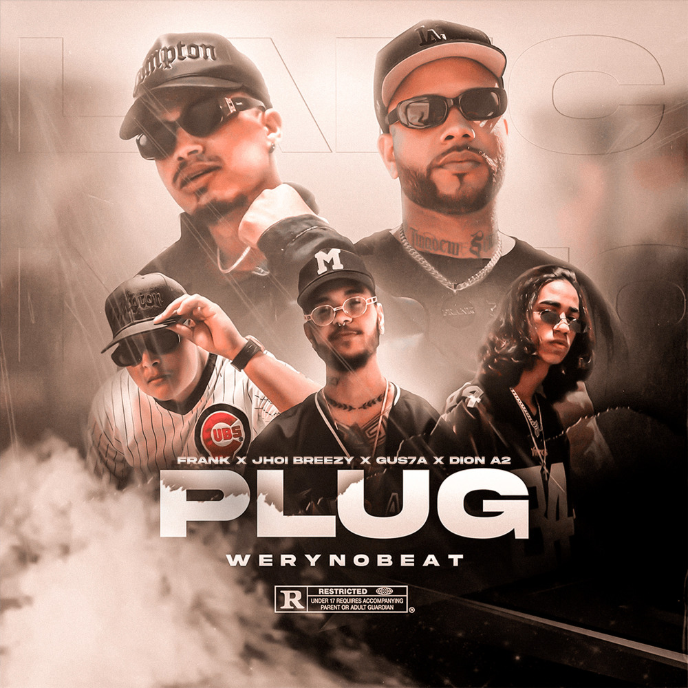 Plug