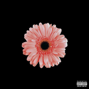 Album Darling Don't Cry (Explicit) from Helzeint