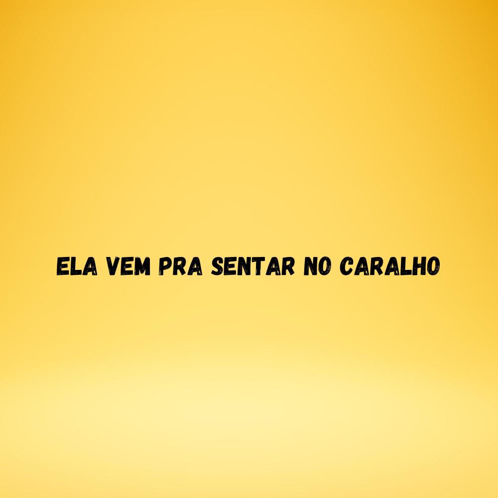 Ela Vem Pra sentar no Caralho (Explicit)