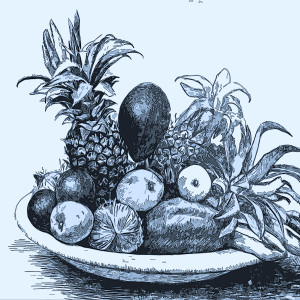 Sweet Fruits dari Diana Ross