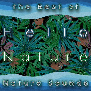 Zen Meditations from a Sleeping Buddha的專輯Hello Nature, the Best of Nature Sounds