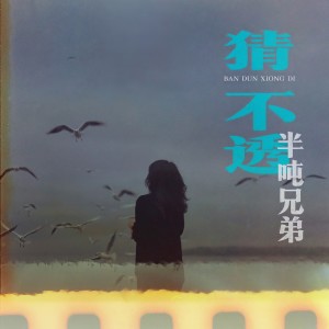 收聽半噸兄弟的猜不透歌詞歌曲