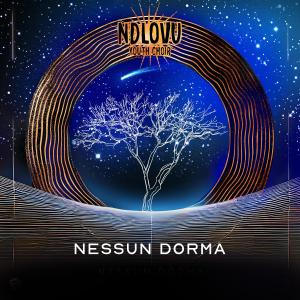 Ndlovu Youth Choir的專輯Nessun Dorma