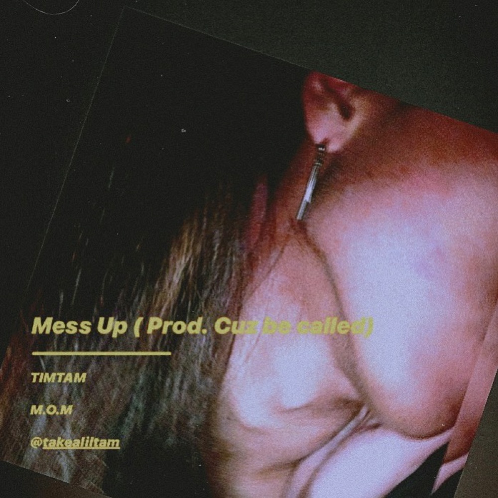 Mess Up (Prod. Cuz be called)