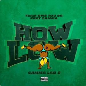 Album How low Gammalab 5 (Explicit) from 