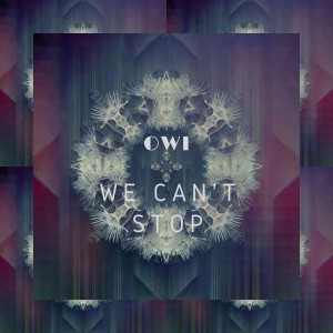 Album We Can't Stop from 