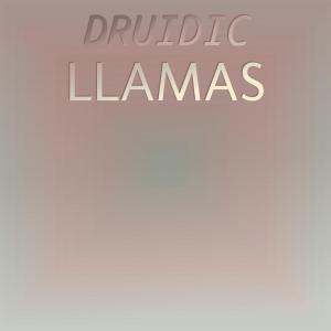 Listen to Call Receding song with lyrics from Alase Dimo