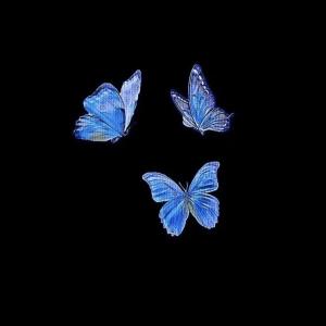 ดาวน์โหลดและฟังเพลง kill bill but it's a lofi beat พร้อมเนื้อเพลงจาก łtchi