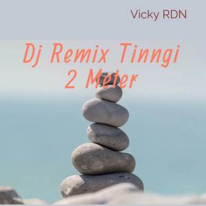 VICKY RDN的专辑DJ Remix Tinggi 2 Meter