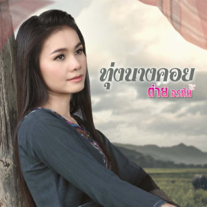 ดาวน์โหลดและฟังเพลง ทุ่งนางคอย พร้อมเนื้อเพลงจาก ต่าย อรทัย