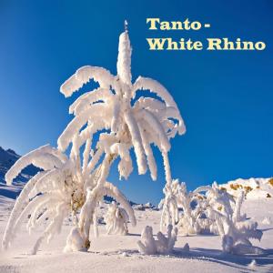 White Rhino