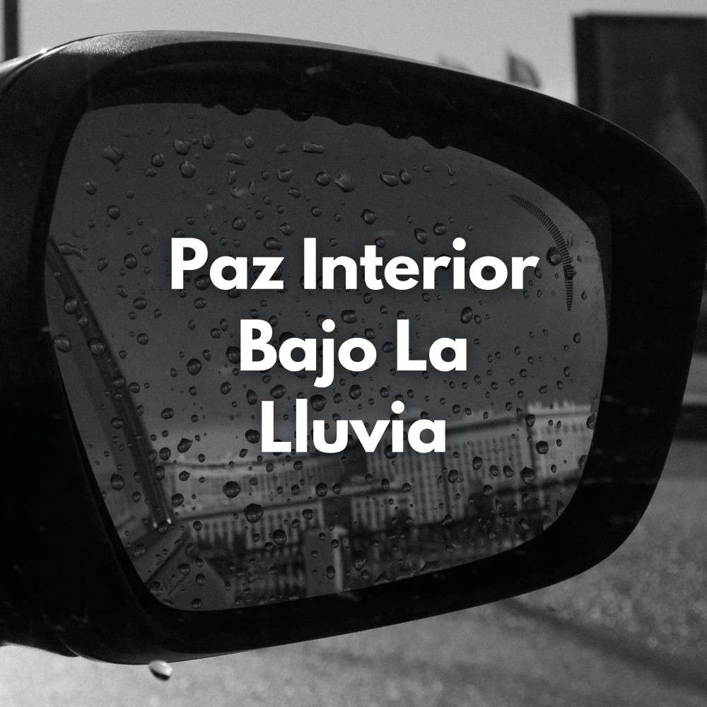 Vacaciones De Clima Húmedo