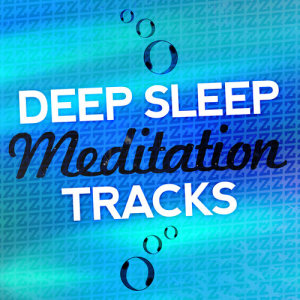 收聽Deep Sleep Meditation的Labyrinth歌詞歌曲