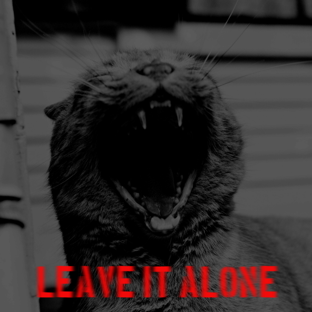 Leave It Alone (Explicit)