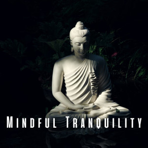 orbital voices的專輯Mindful Tranquility: Meditation with Ambient Music