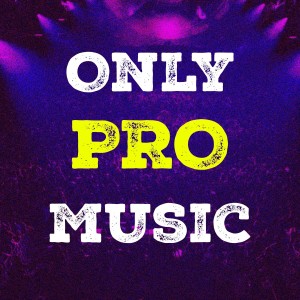 อัลบัม Only Pro Music ศิลปิน Various Artists