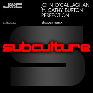 Dengarkan Perfection (Shogun Remix) lagu dari John O' Callaghan dengan lirik