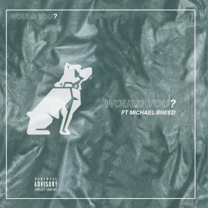 ดาวน์โหลดและฟังเพลง Would You? (Explicit) พร้อมเนื้อเพลงจาก MVCK