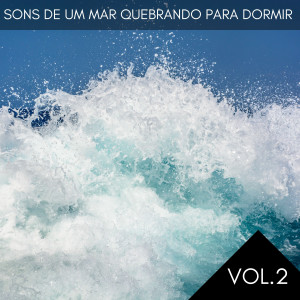 ดาวน์โหลดและฟังเพลง Meditação da Madeira Flutuante พร้อมเนื้อเพลงจาก Dormir Profundamente