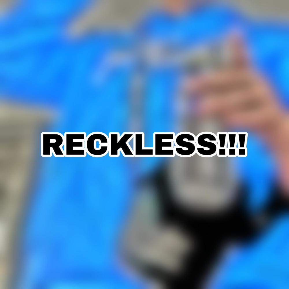 RECKLESS!!! (feat. DAELUS)