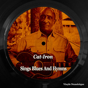 Listen to Don't Your House Look Lonesome song with lyrics from Cat-Iron