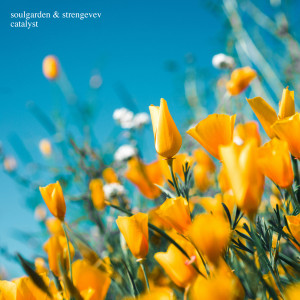 ดาวน์โหลดและฟังเพลง Catalyst พร้อมเนื้อเพลงจาก Soulgarden