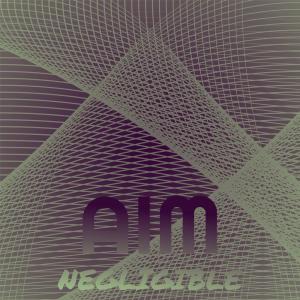 Various Artists的專輯Aim Negligible