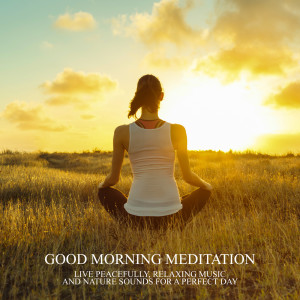 Listen to Peaceful Melody song with lyrics from Calming Music Sanctuary