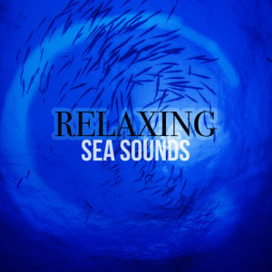 ดาวน์โหลดและฟังเพลง Waves: Summer Sea พร้อมเนื้อเพลงจาก Relaxing Sea Sounds