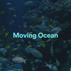 Dengarkan lagu Blooming Ocean nyanyian Sundays By The Ocean dengan lirik