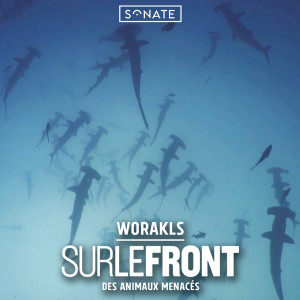 Album Sur le front des animaux menacés from Worakls