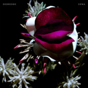 Album DOOROOGO from CIFIKA