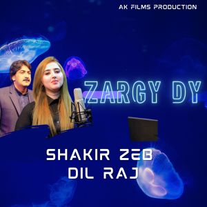 Listen to Zargy Dy song with lyrics from Shakir Zeb