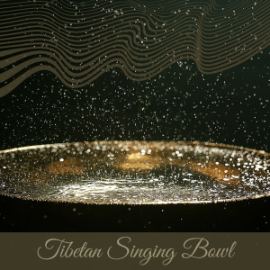 ดาวน์โหลดและฟังเพลง 西藏颂钵:放空 พร้อมเนื้อเพลงจาก 颂钵元宇宙