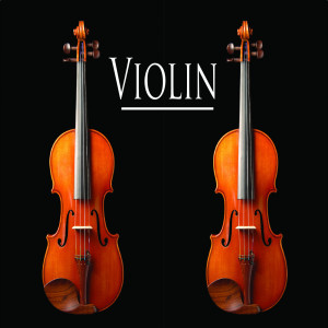 收聽Violin的Violin歌詞歌曲
