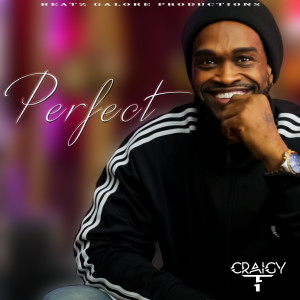 Craigy T的專輯Perfect