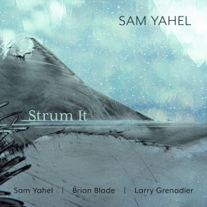 ดาวน์โหลดและฟังเพลง Strum It พร้อมเนื้อเพลงจาก Sam Yahel