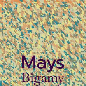 Listen to Mays Bigamy song with lyrics from Indi Fien
