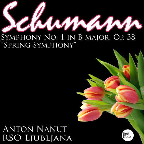 Symphony No.1 "Spring" in B Flat Major, Op.38: Andante un poco maestoso, Allegro molto vivace - Larghetto - Scherzo, Molto vivace - Allegro animato e grazioso