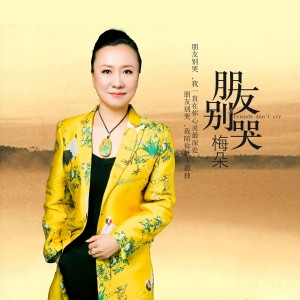 Dengarkan 朋友别哭 (伴奏) lagu dari 梅朵 dengan lirik