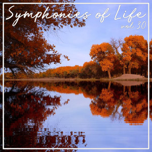 Andreas Juffinger的專輯Symphonies of Life, Vol. 30 - Rheinberger Organ; Concertos Ops. 137 & 177