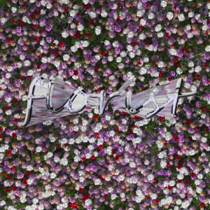 Album Florist (Explicit) from Erzzy