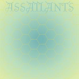 Various的专辑Assailants